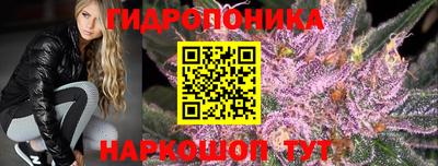 хмурый Кимры