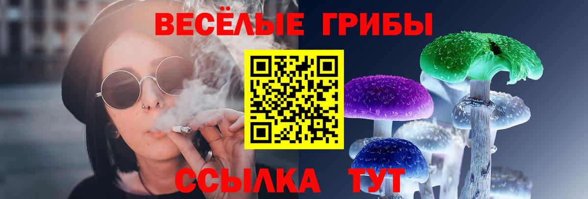 Зеленогорск  Галлюциногенные грибы Psilocybine cubensis  Вход с VPN 